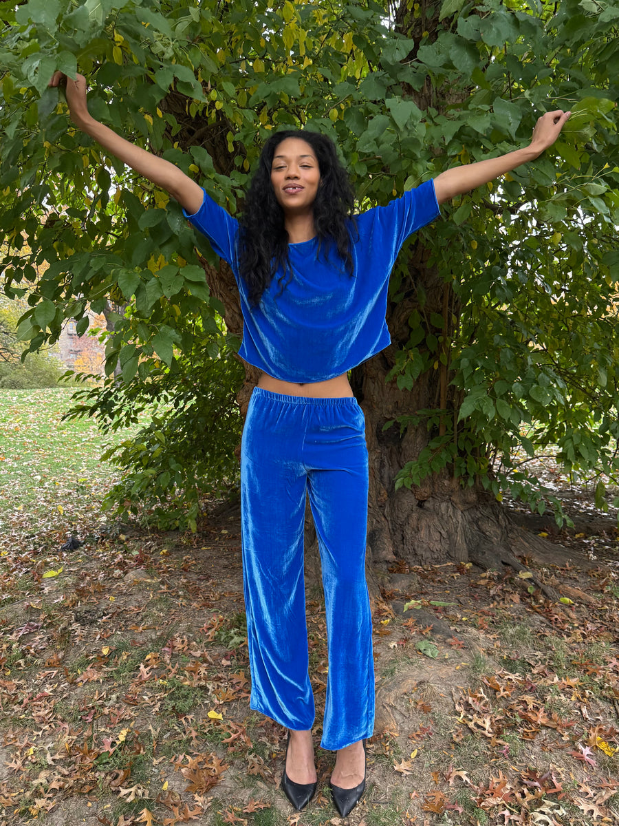 Erin Pant in Blue Silk Velvet