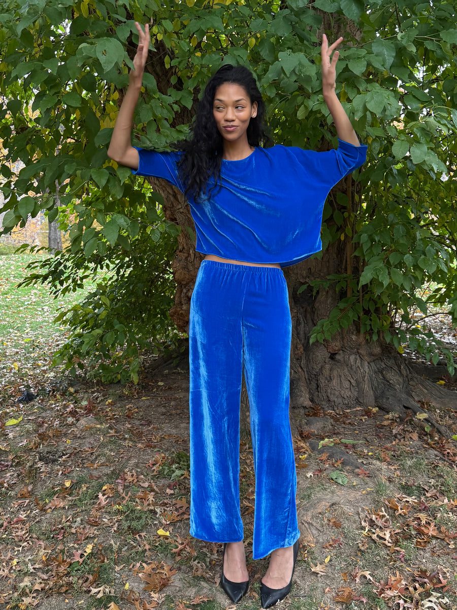 Erin Pant in Blue Silk Velvet
