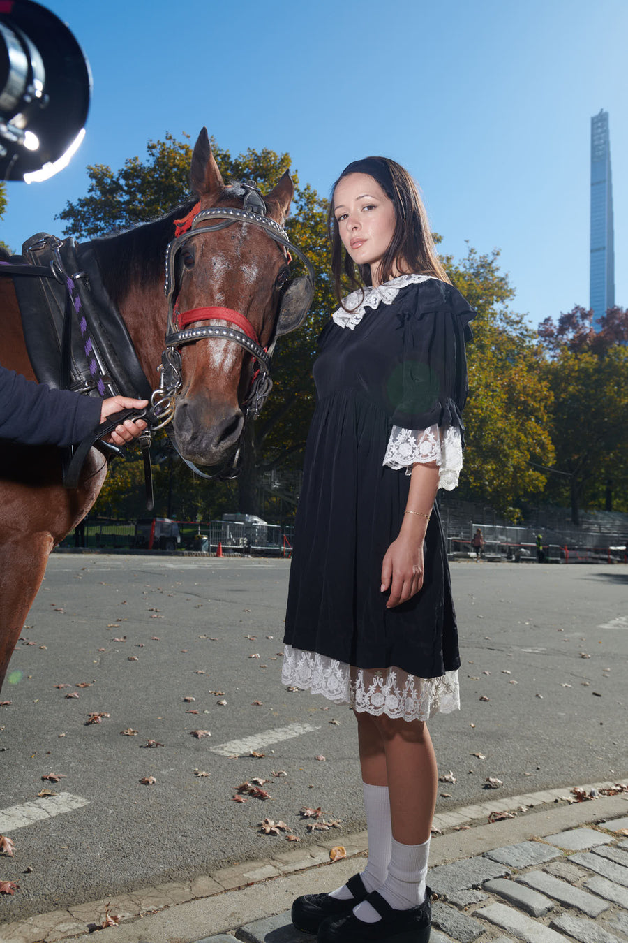 Chamomile Dress in Black Voile