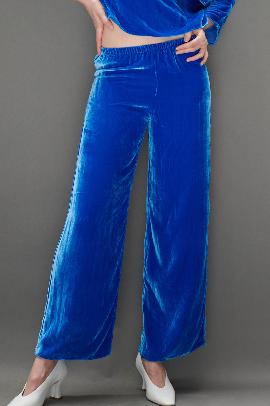 Erin Pant in Blue Silk Velvet