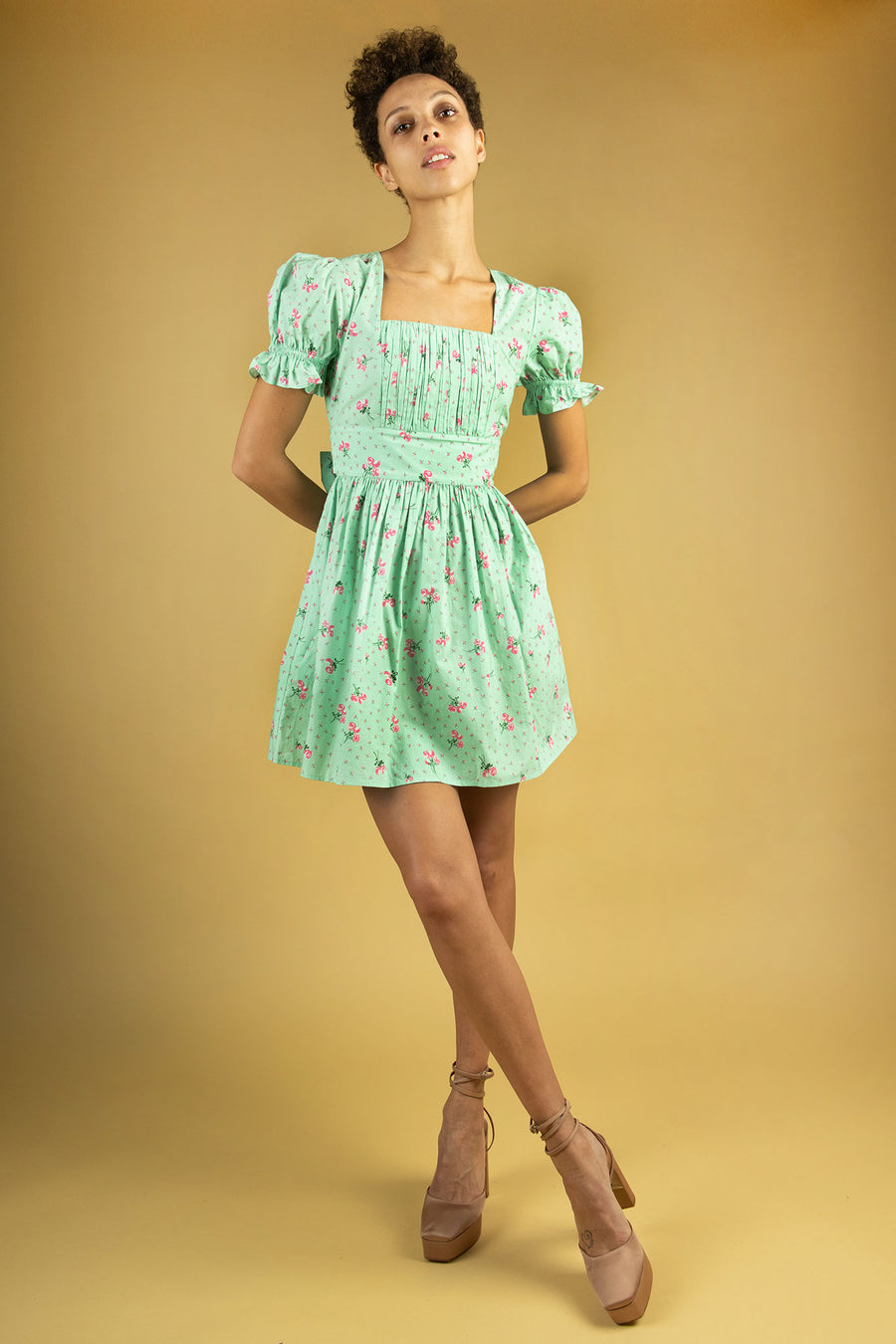 BATSHEVA - Popham Dress in Mint Rose